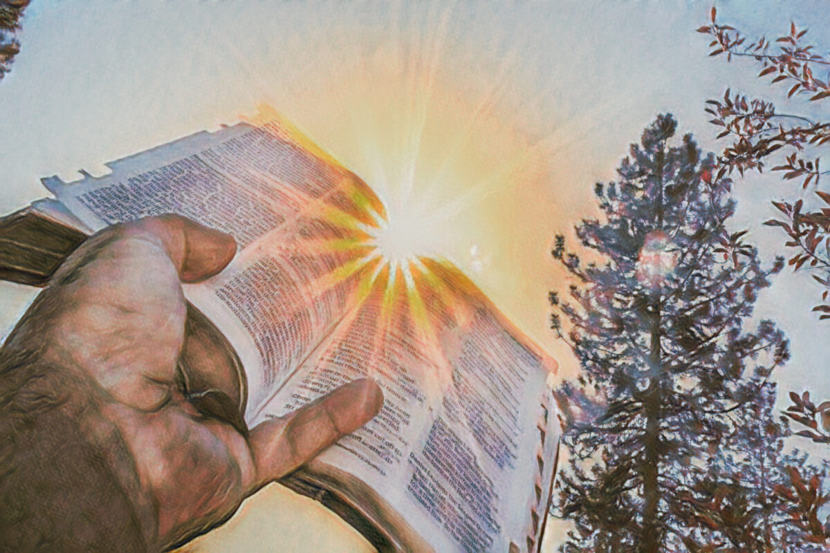 So What Do God and the Bible Say About Psychedelics?